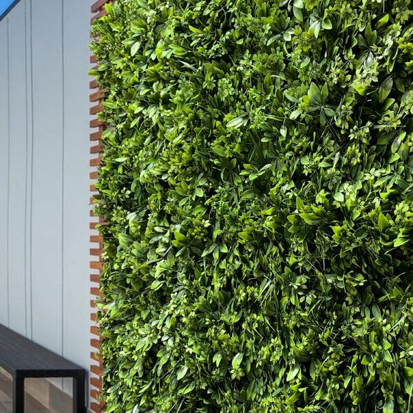 12 Quadros De Folhagem Verde Cheflera Mista Linha Premium Com