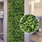 12 Quadros De Folhagem Verde Cheflera Mista Linha Premium Com