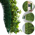 12 Quadros De Folhagem Verde Cheflera Mista Linha Premium Com