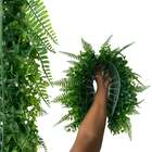 12 Quadros Para Jardins Verticais Samambaia Com Eucalipto Res