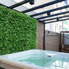 12 Quadros Para Jardins Verticais Samambaia Com Eucalipto Res