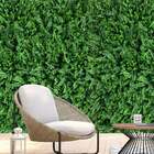 12 Quadros Para Jardins Verticais Samambaia Com Eucalipto Res