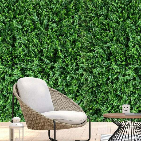 12 Quadros Para Jardins Verticais Samambaia Com Eucalipto Res