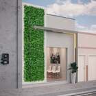 12 Quadros Para Jardins Verticais Samambaia Com Eucalipto Res