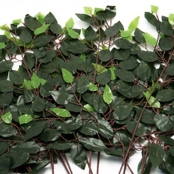 12 Ramos Folhas Decorativas Artificiais Muro Inglês Ficus 12