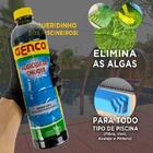 12 Un Algicida Manutenção Genco Previne Algas Piscinas 01 Lt