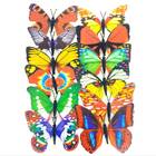12 Unidades Borboletas Com Estampas Variadas Grandes