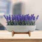 12 Unidades De Buquê De Lavanda Lilás - Flores Com Toque Natu