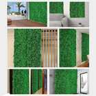 13 Painéis De Folhagens Buxinho Permanente Jardim Vertical Tr