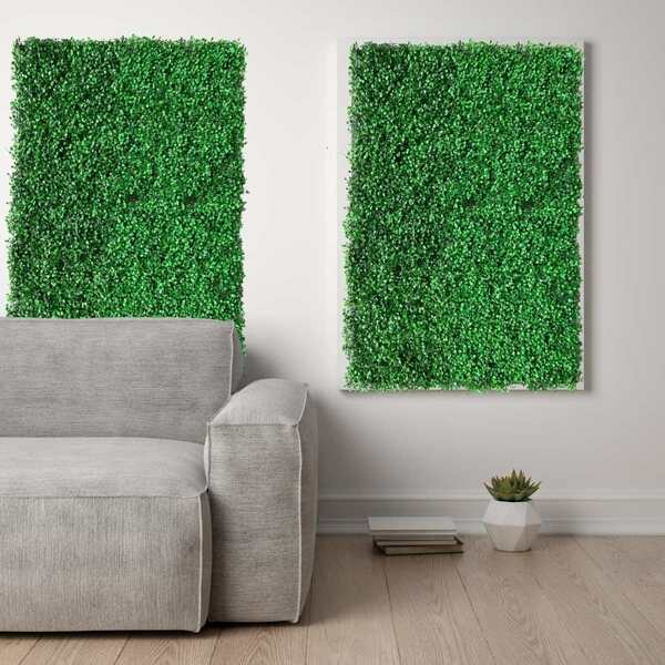 13 Painéis De Folhagens Buxinho Permanente Jardim Vertical Tr