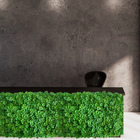 13 Painéis Para Parede Verde Ricos Em Folhagens Densas Trevo