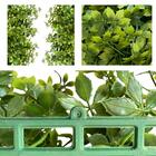 14 Placas De Gramas Artificiais Para Jardins Verticais Alta Q