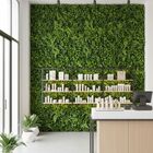 14 Placas De Samambaia E Eucalipto Artificial Para Jardim Ver