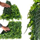 14 Placas De Samambaia E Eucalipto Artificial Para Jardim Ver