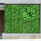 14 Placas Para Jardins Verticais Artificiais Linha Premium Du