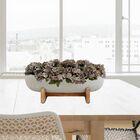 15 Buquês De Mini Hortênsias Artificiais Para Uso Interno Dec