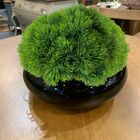 15 Buquês De Picks Artificiais Com 6 Hastes Cada Ideal Para C