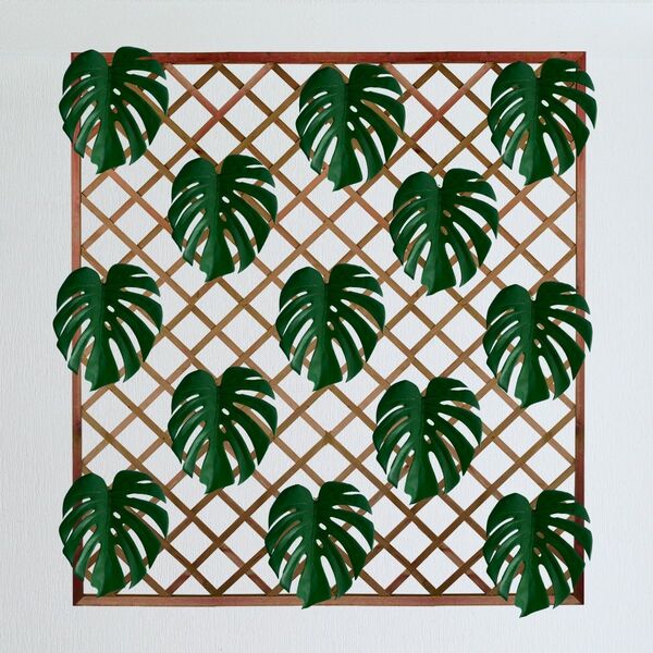 15 Costelas De Adão Artificiais Ajustável E Ideal Para Arranj