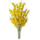 15 Flores De Orquídea Amarela Permanente Versátil E Elegante