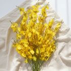 15 Flores De Orquídea Amarela Permanente Versátil E Elegante