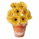 15 Gérberas Artificiais Amarela - Haste Longa Perfeitas Para
