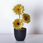 15 Gérberas Artificiais Amarela - Haste Longa Perfeitas Para