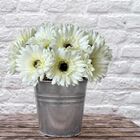 15 Gérberas Artificiais Branca - Haste Longa Perfeitas Para D