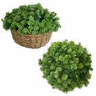 15 Maços De Mini Eucalipto Artificial (90 Hastes, 6 Em Cada)