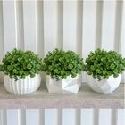 15 Maços De Mini Eucalipto Artificial (90 Hastes, 6 Em Cada)