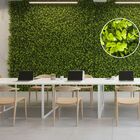 15 Placas De Eucalipto Artificial Artesanato E Decoração De J