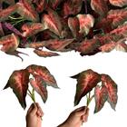 15 Plantas Decorativa De Singônio Artificial (26x23cm) – Fáci