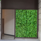 15 Quadros Muros Artificiais Folhas De Trevo Com 100% Cobertu