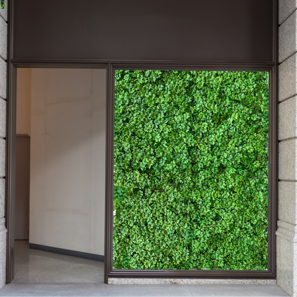 15 Quadros Muros Artificiais Folhas De Trevo Com 100% Cobertu