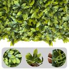 16 Placas Artificias Parede Verde Ricos Em Folhagens Densas C