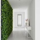 16 Placas Com Folhagens Samambaia E Eucalipto Artificial Deco