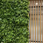 17 Painéis Para Jardins Verticais Permanentes E Realistas Fol