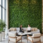 17 Painéis Verdes Artificiais - Folhagens De Samambaia E Euca