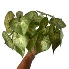 18 Folhagens Realistas Em Buquê 30cm Cada - Decore Seu Ambien