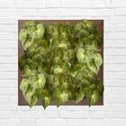 18 Folhagens Realistas Em Buquê 30cm Cada - Decore Seu Ambien