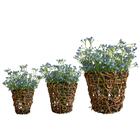18 Galhos De Mosquitinho Azul Artificial Com Flores Permanent
