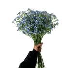 18 Galhos De Mosquitinho Azul Artificial Com Flores Permanent
