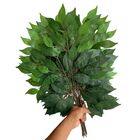 18 Hastes De Folhas Fícus Artificiais Para Decorações De Pain