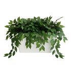 18 Hastes De Folhas Fícus Artificiais Para Decorações De Pain