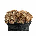 18 Kits De Mini Hortênsias Artificiais Cor Marrom Para Festas