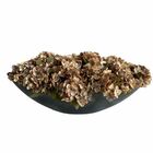 18 Kits De Mini Hortênsias Artificiais Cor Marrom Para Festas