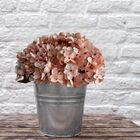 18 Kits De Mini Hortênsias Artificiais Cor Rosa Para Festas D