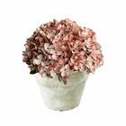 18 Kits De Mini Hortênsias Artificiais Cor Rosa Para Festas D