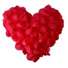 18 Pacotes De Pétalas Artificiais (5400 Unidades) – Decoração