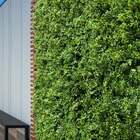 18 Peças Para Decoração De Ambiente Com Mix De Folhagem 60x40