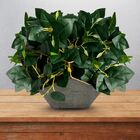 18 Peperômias Artificiais Com Folhagens Realistas Para Decora